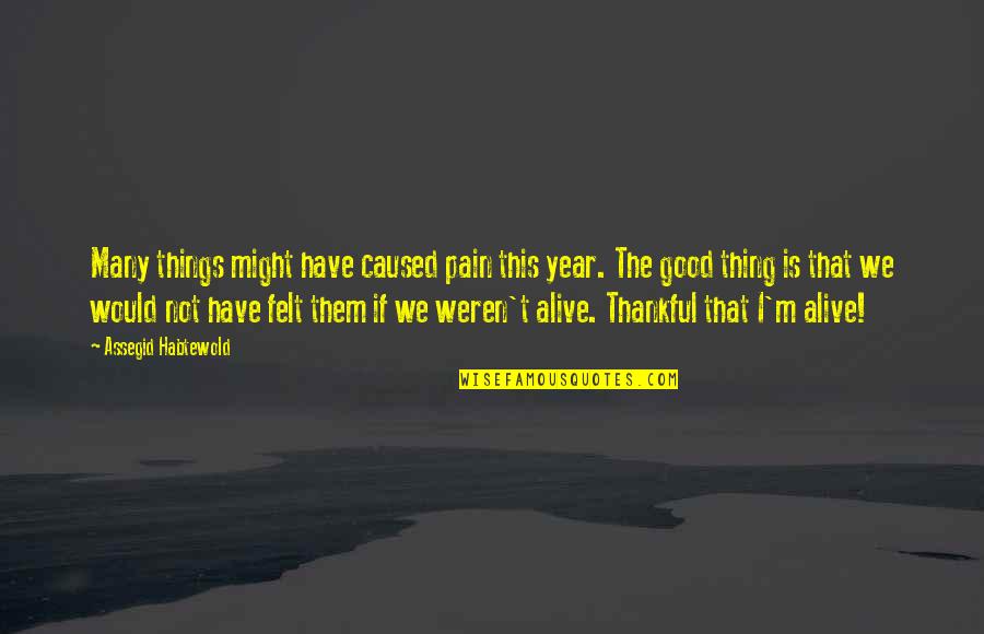 Feeling Alive Quotes By Assegid Habtewold: Many things might have caused pain this year.