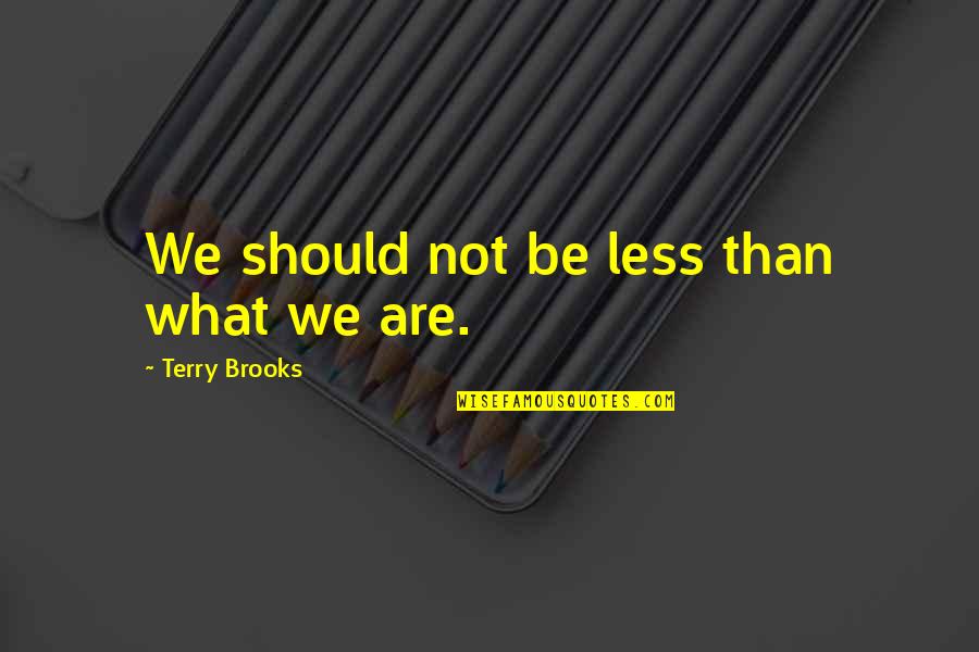 Feeling Alone But Happy Quotes By Terry Brooks: We should not be less than what we