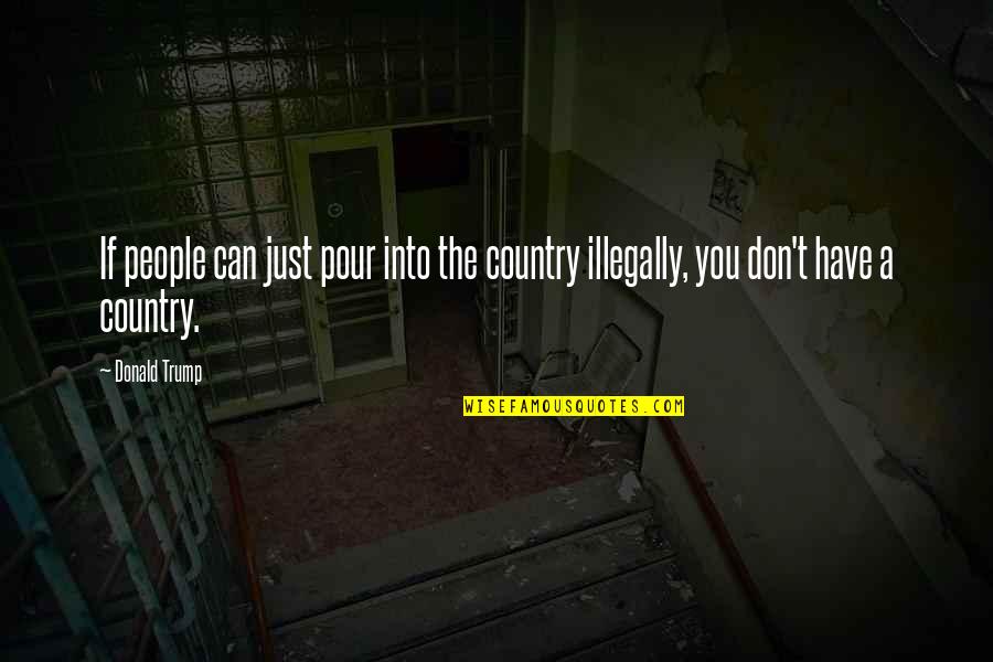 Feeling Artist Quotes By Donald Trump: If people can just pour into the country