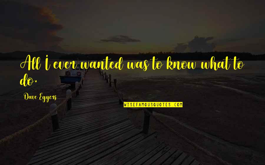 Feeling Artista Quotes By Dave Eggers: All I ever wanted was to know what