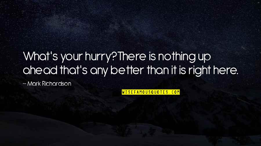 Feeling Being Ignored Quotes By Mark Richardson: What's your hurry?There is nothing up ahead that's