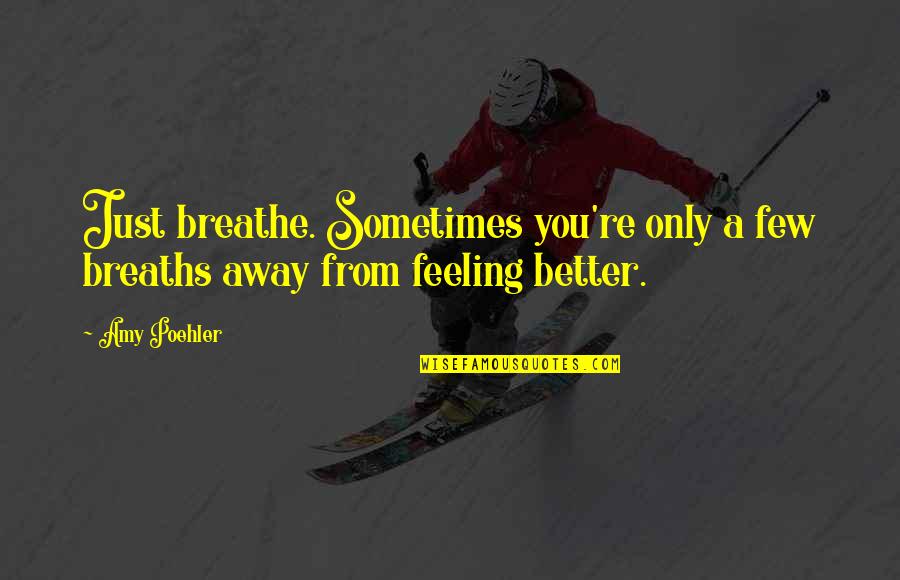 Feeling Better Quotes By Amy Poehler: Just breathe. Sometimes you're only a few breaths