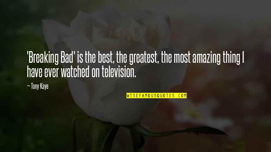 Feeling Bitter Quotes By Tony Kaye: 'Breaking Bad' is the best, the greatest, the
