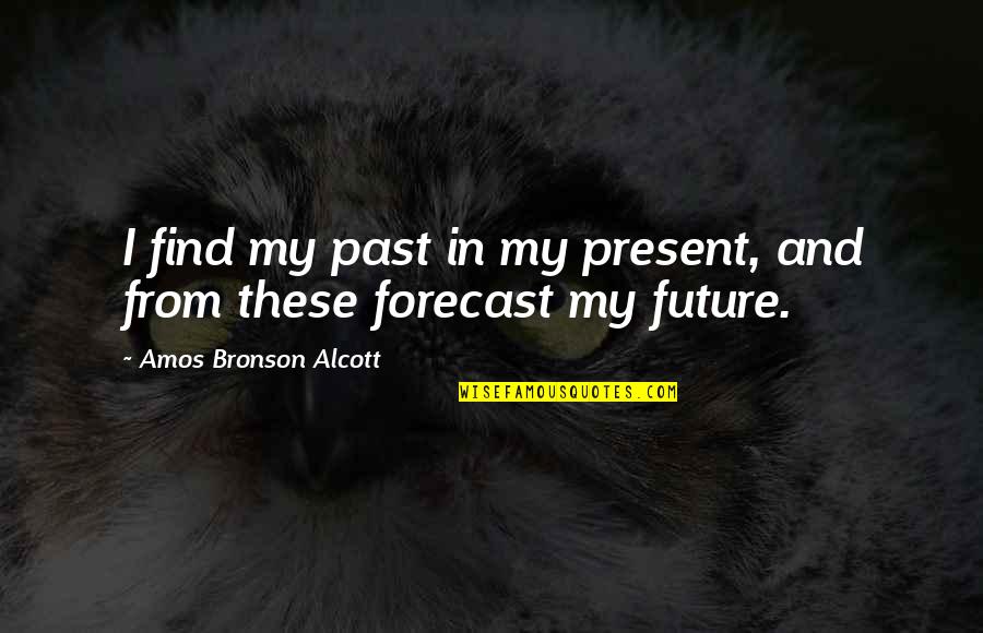 Feeling Blue Funny Quotes By Amos Bronson Alcott: I find my past in my present, and