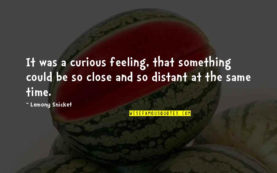 Feeling Close Quotes By Lemony Snicket: It was a curious feeling, that something could