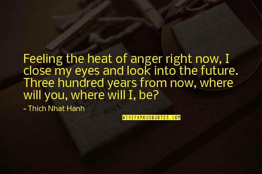Feeling Close Quotes By Thich Nhat Hanh: Feeling the heat of anger right now, I