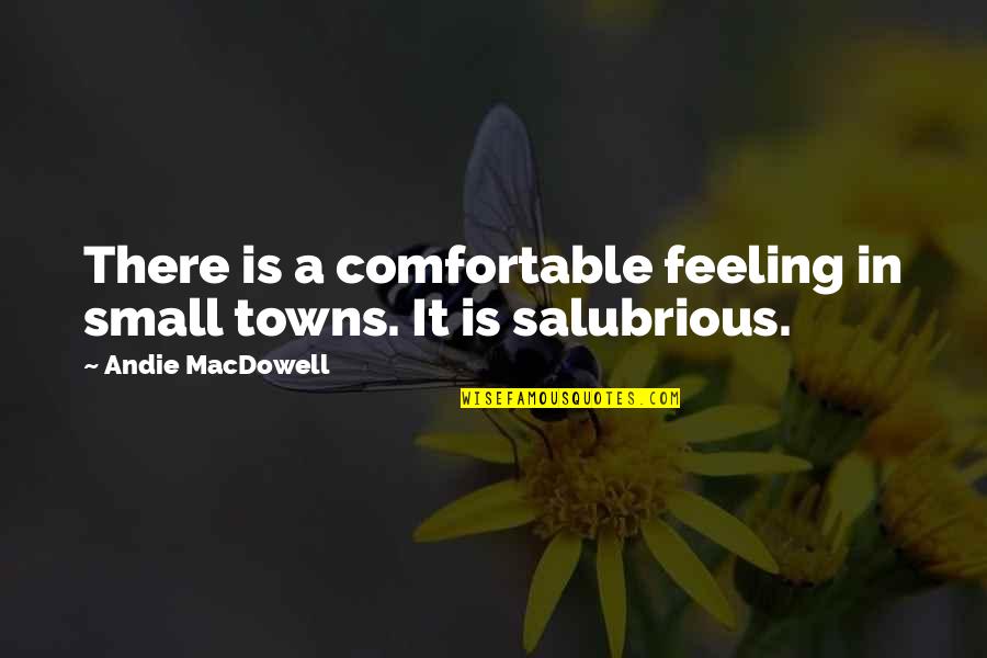 Feeling Comfortable Quotes By Andie MacDowell: There is a comfortable feeling in small towns.