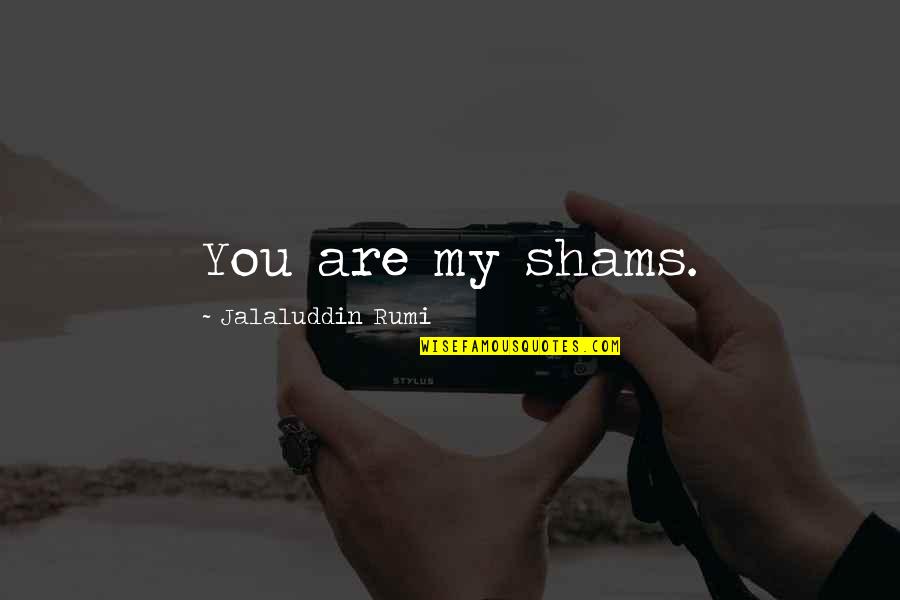 Feeling Down And Giving Up Quotes By Jalaluddin Rumi: You are my shams.