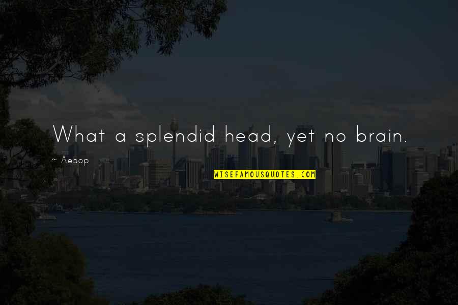 Feeling Down In Love Quotes By Aesop: What a splendid head, yet no brain.