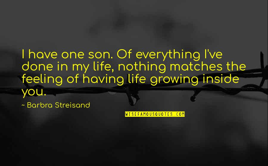 Feeling Everything Quotes By Barbra Streisand: I have one son. Of everything I've done