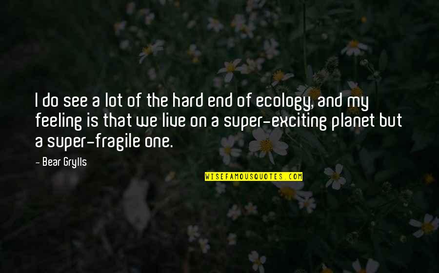 Feeling Fragile Quotes By Bear Grylls: I do see a lot of the hard