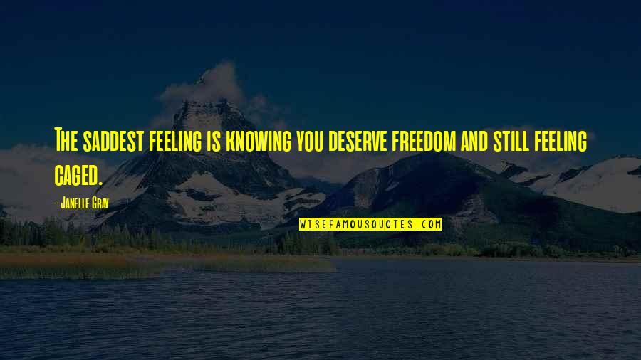 Feeling Freedom Quotes By Janelle Gray: The saddest feeling is knowing you deserve freedom
