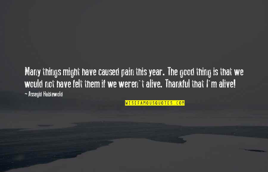 Feeling Good To Be Alive Quotes By Assegid Habtewold: Many things might have caused pain this year.