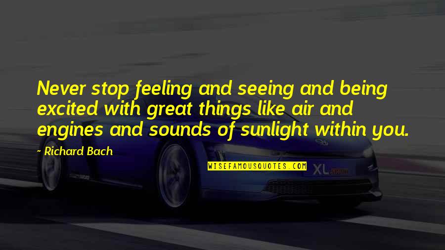 Feeling Great Quotes By Richard Bach: Never stop feeling and seeing and being excited