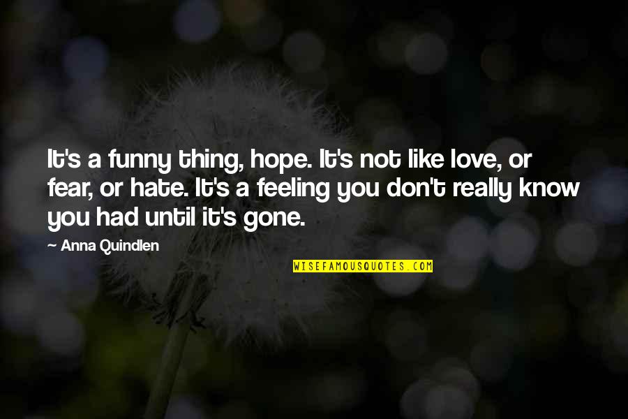 Feeling Hate Quotes By Anna Quindlen: It's a funny thing, hope. It's not like
