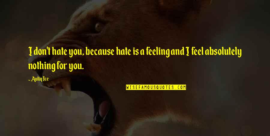 Feeling Hate Quotes By Auliq Ice: I don't hate you, because hate is a
