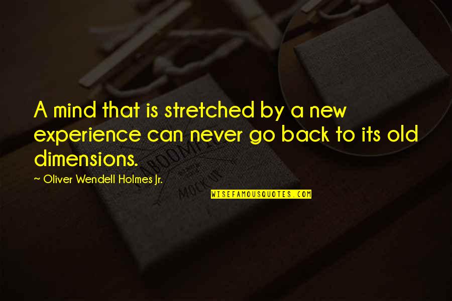 Feeling Hurted By Someone Quotes By Oliver Wendell Holmes Jr.: A mind that is stretched by a new