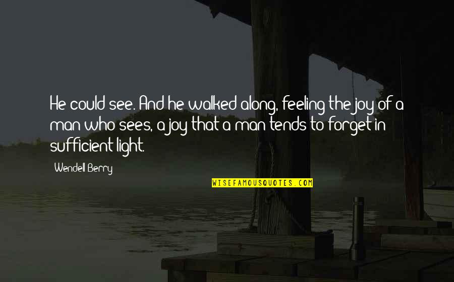 Feeling Joy Quotes By Wendell Berry: He could see. And he walked along, feeling