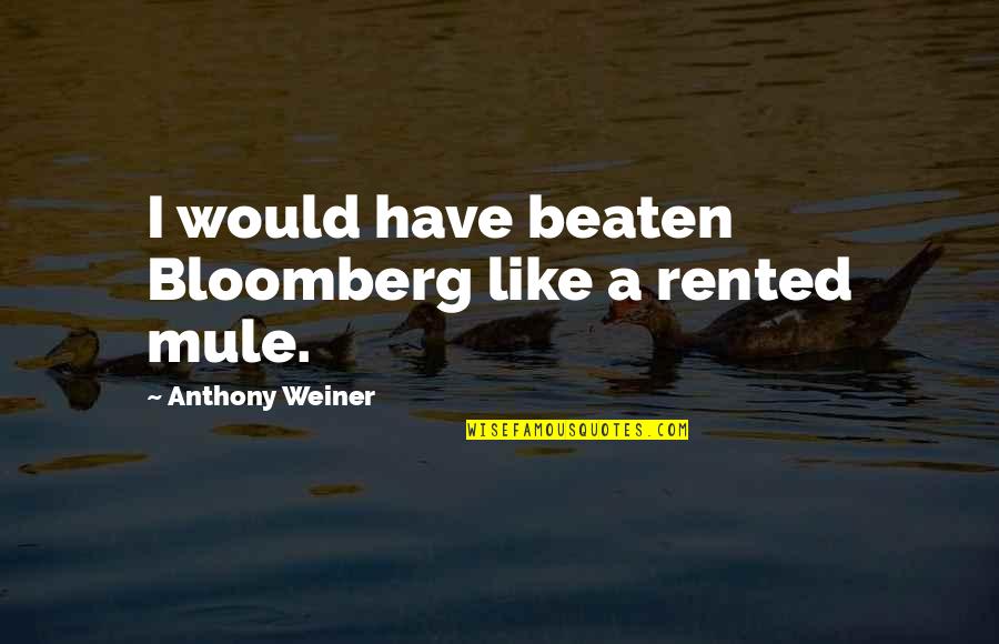 Feeling Like A Fool Quotes By Anthony Weiner: I would have beaten Bloomberg like a rented