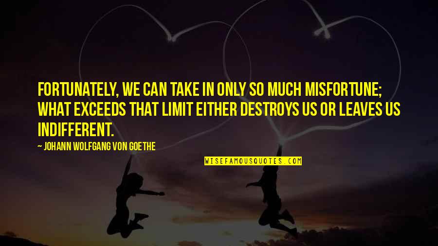 Feeling Like Someone Doesn't Care Quotes By Johann Wolfgang Von Goethe: Fortunately, we can take in only so much