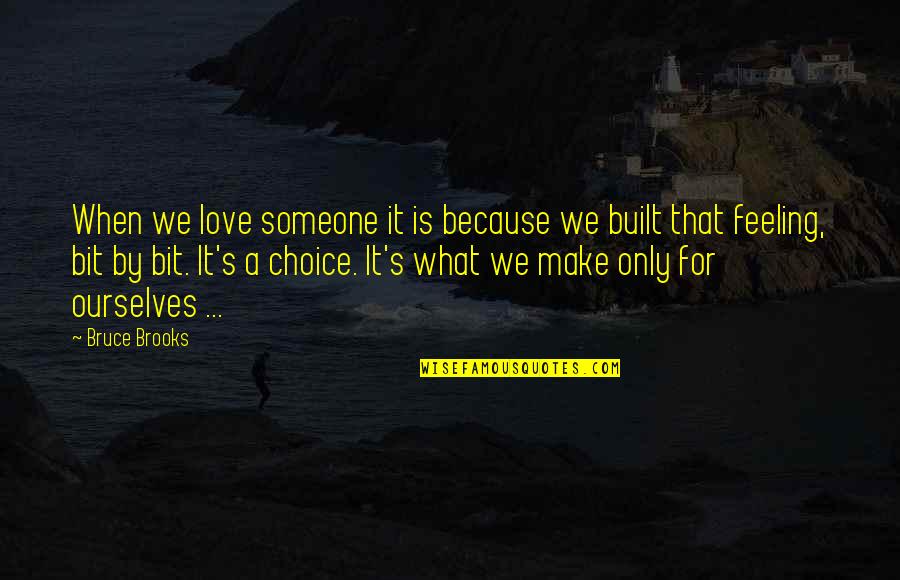 Feeling Love For Someone Quotes By Bruce Brooks: When we love someone it is because we