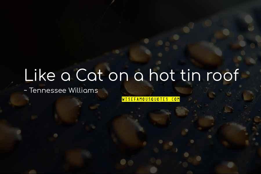 Feeling Low Depressed Quotes By Tennessee Williams: Like a Cat on a hot tin roof