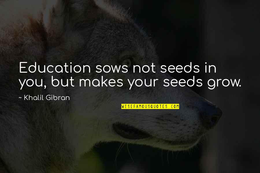 Feeling Low Life Quotes By Khalil Gibran: Education sows not seeds in you, but makes