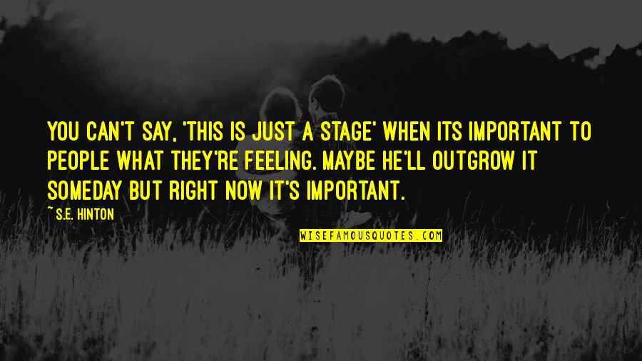 Feeling Not Important Quotes By S.E. Hinton: You can't say, 'This is just a stage'