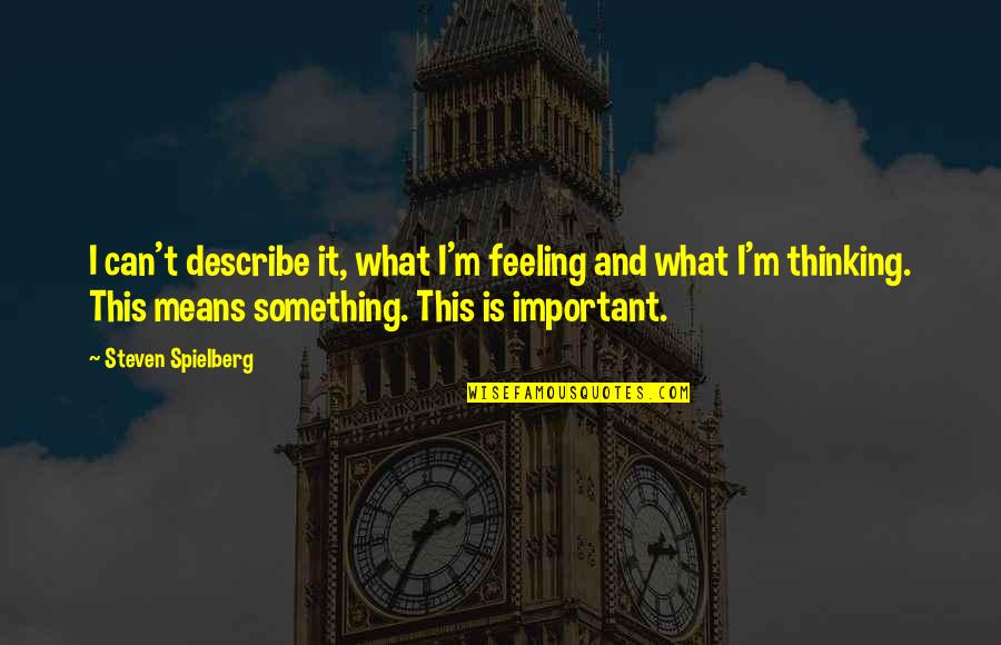 Feeling Not Important Quotes By Steven Spielberg: I can't describe it, what I'm feeling and