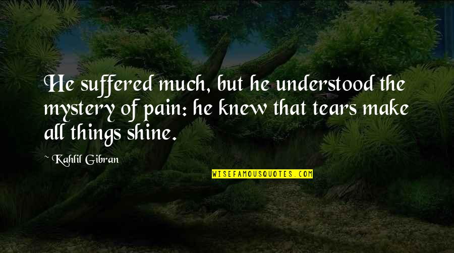 Feeling Of Sadness Quotes By Kahlil Gibran: He suffered much, but he understood the mystery