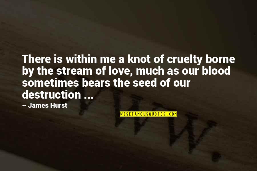 Feeling Persecuted Quotes By James Hurst: There is within me a knot of cruelty