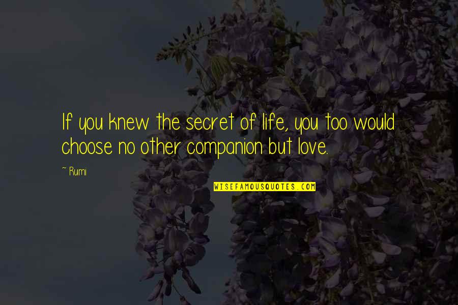 Feeling Playful Quotes By Rumi: If you knew the secret of life, you