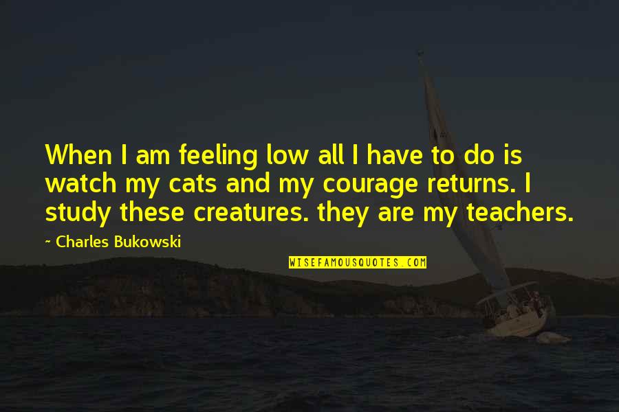 Feeling Really Low Quotes By Charles Bukowski: When I am feeling low all I have