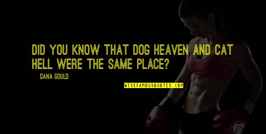 Feeling Replaced By Your Best Friend Quotes By Dana Gould: Did you know that Dog Heaven and Cat