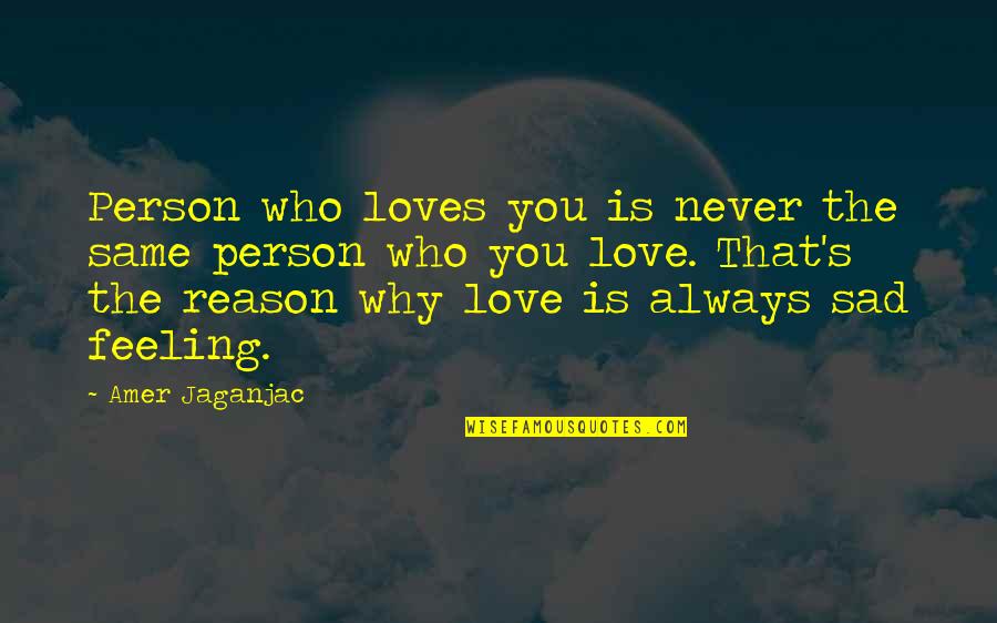 Feeling Sad For No Reason Quotes By Amer Jaganjac: Person who loves you is never the same