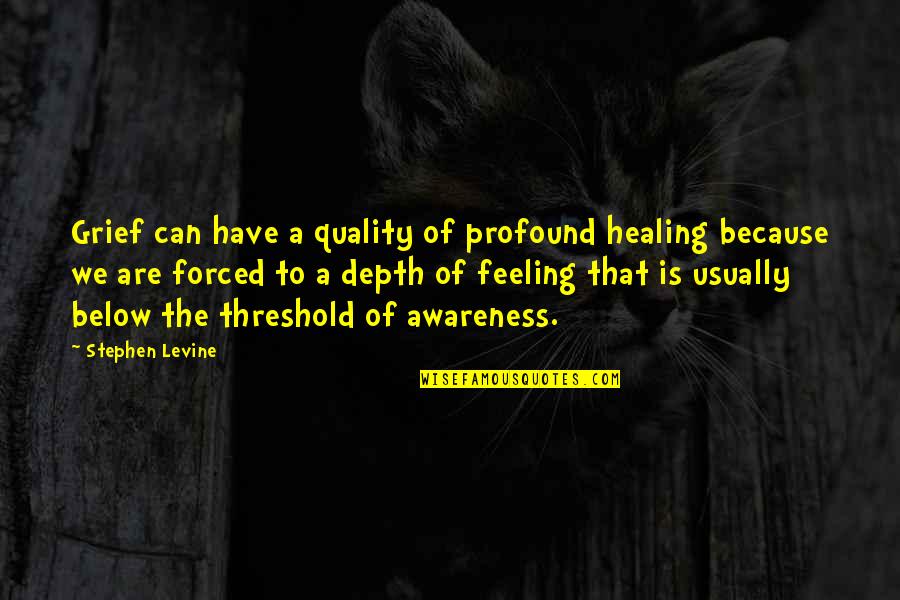 Feeling Sadness Quotes By Stephen Levine: Grief can have a quality of profound healing