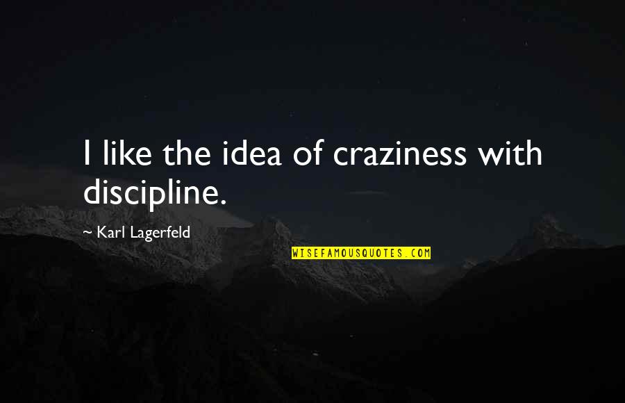 Feeling Shattered Quotes By Karl Lagerfeld: I like the idea of craziness with discipline.