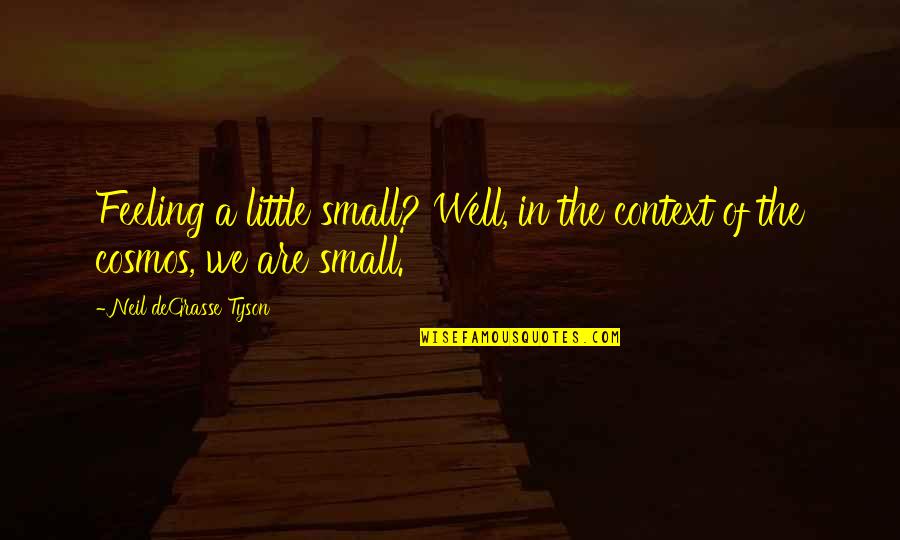 Feeling Small In Nature Quotes By Neil DeGrasse Tyson: Feeling a little small? Well, in the context