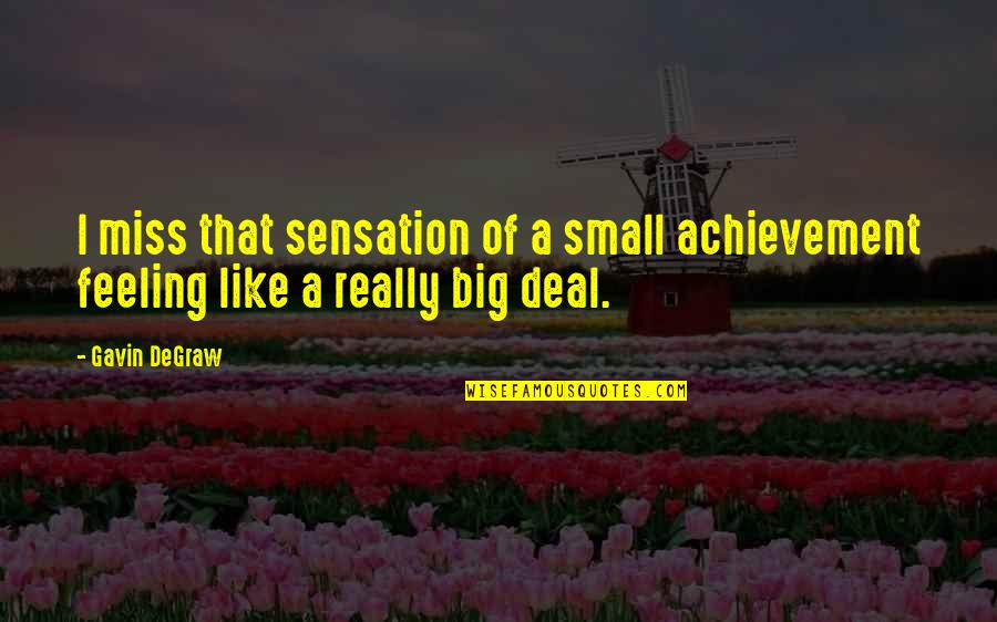 Feeling So Small Quotes By Gavin DeGraw: I miss that sensation of a small achievement