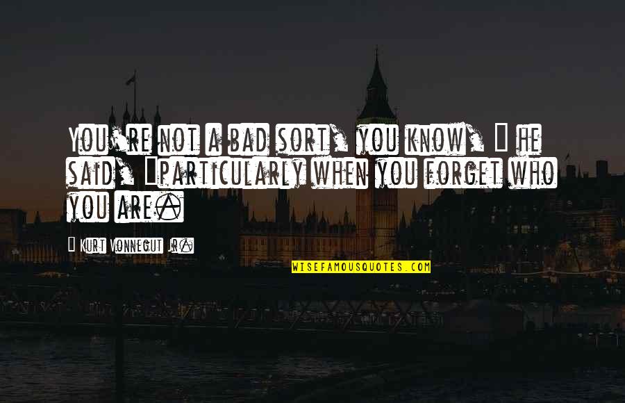 Feeling So Unwanted Quotes By Kurt Vonnegut Jr.: You're not a bad sort, you know, "