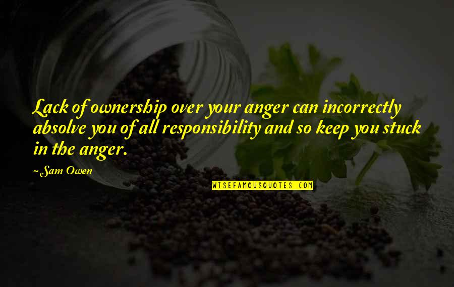 Feeling Stuck Quotes By Sam Owen: Lack of ownership over your anger can incorrectly