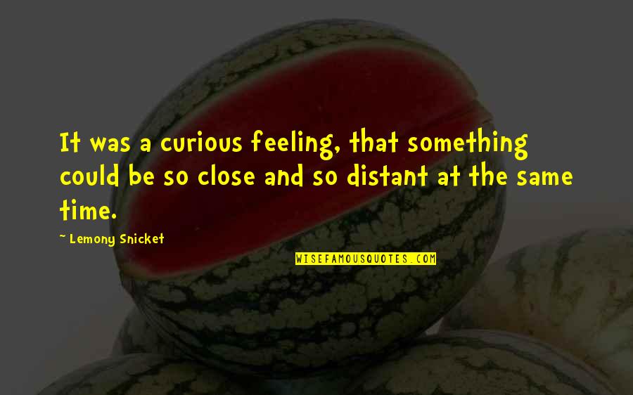 Feeling The Same Quotes By Lemony Snicket: It was a curious feeling, that something could