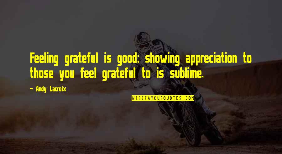 Feeling Too Good Quotes By Andy Lacroix: Feeling grateful is good; showing appreciation to those