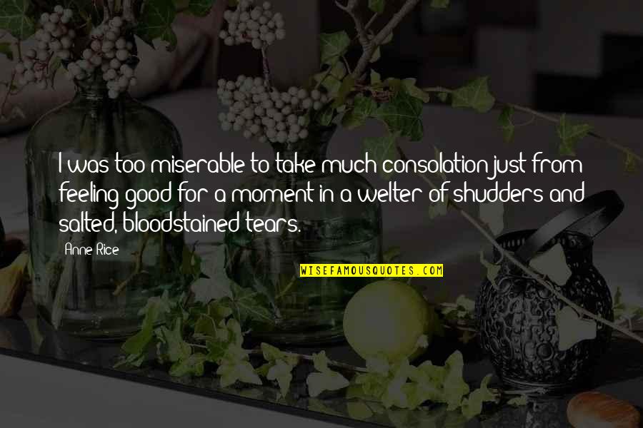 Feeling Too Good Quotes By Anne Rice: I was too miserable to take much consolation