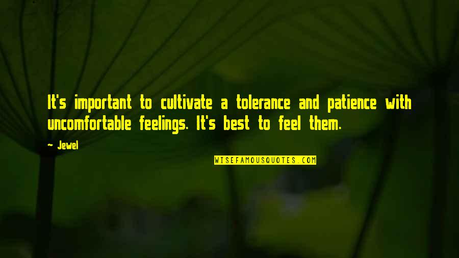 Feeling Too Important Quotes By Jewel: It's important to cultivate a tolerance and patience