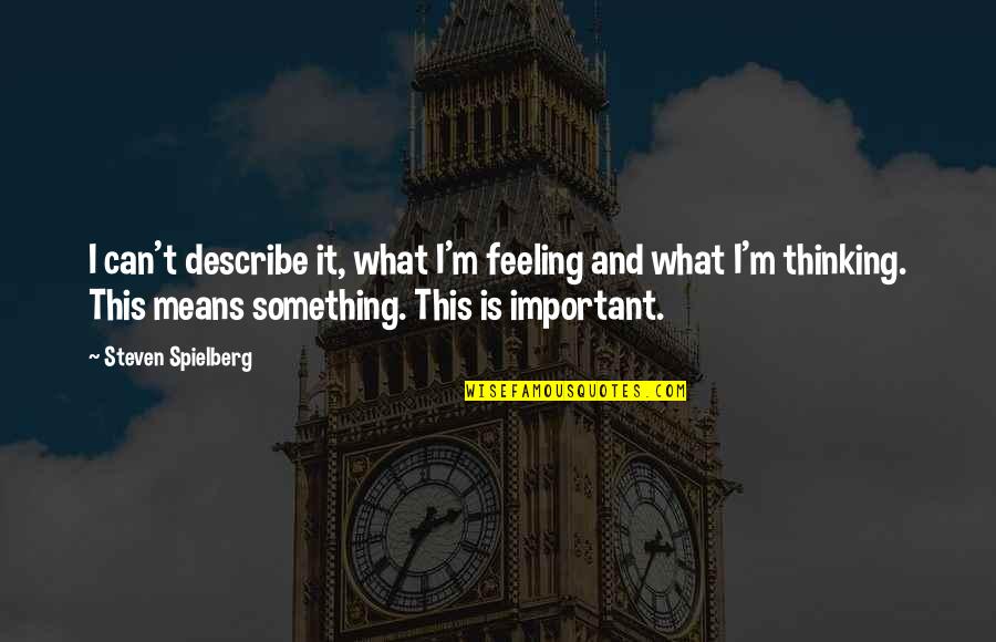 Feeling Too Important Quotes By Steven Spielberg: I can't describe it, what I'm feeling and