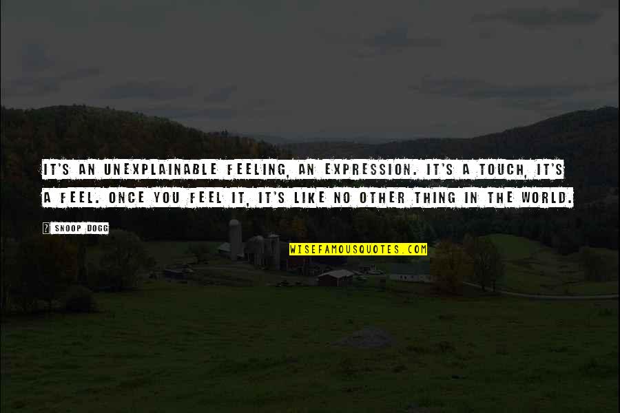 Feeling Unexplainable Quotes By Snoop Dogg: It's an unexplainable feeling, an expression. It's a