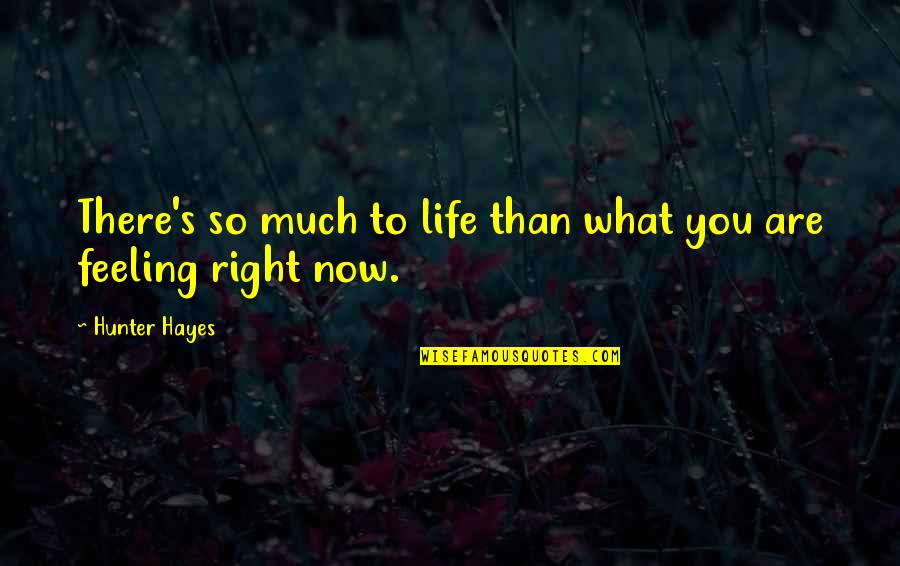 Feeling You Quotes By Hunter Hayes: There's so much to life than what you