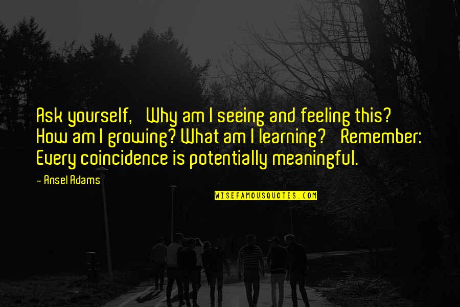 Feeling Yourself Quotes By Ansel Adams: Ask yourself, 'Why am I seeing and feeling