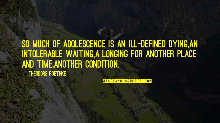 Feelless Quotes By Theodore Roethke: So much of adolescence is an ill-defined dying,An